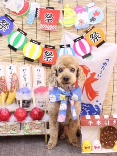 20240723ノンくん